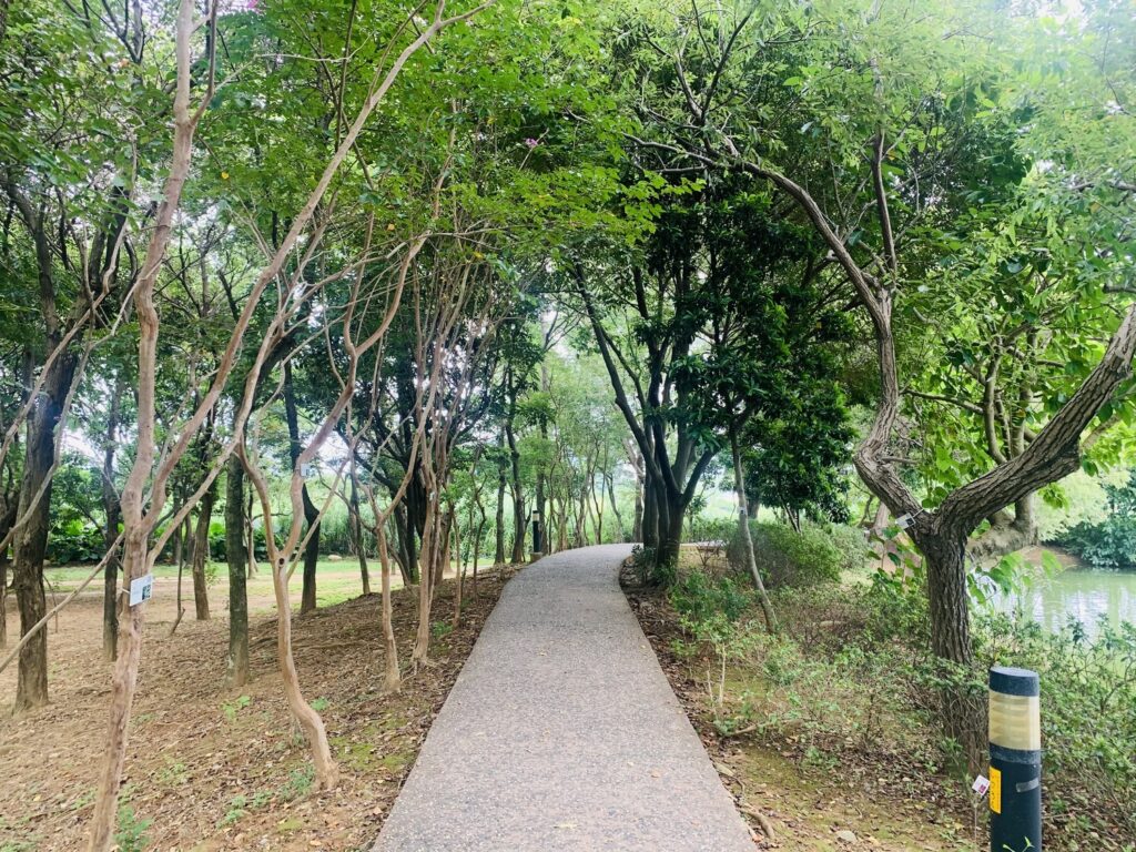 八德埤塘自然生態公園 步道