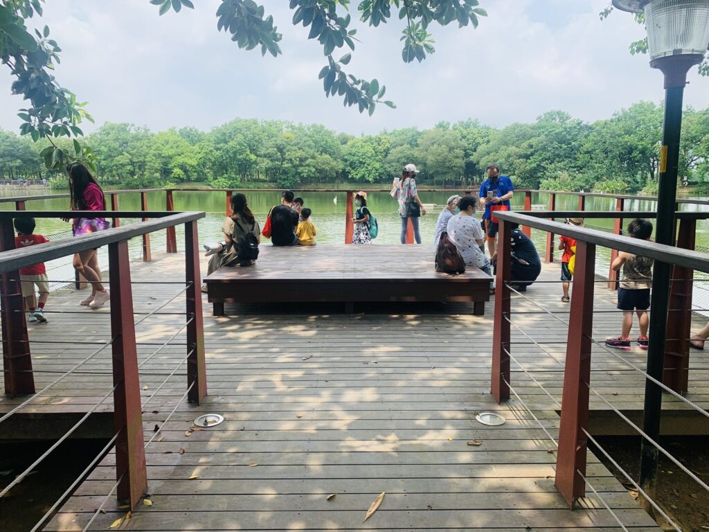 八德埤塘自然生態公園 觀景台