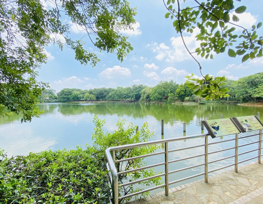 八德埤塘自然生態公園
