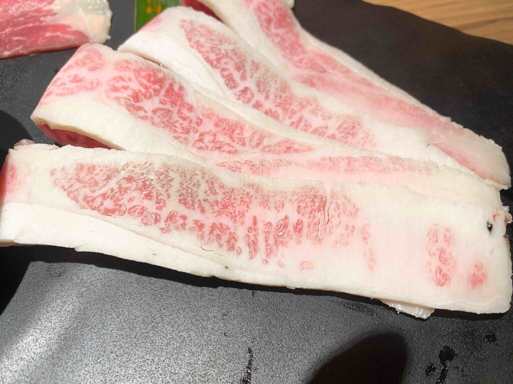 基隆 狸小路燒肉專賣店 日本宮崎 A5 霜降和牛