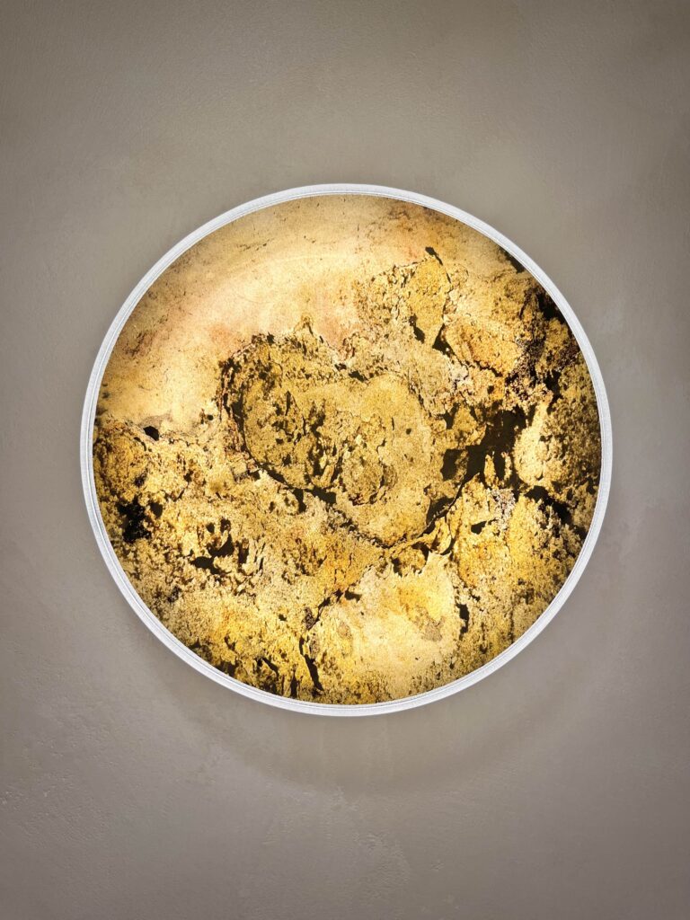 艾立思精品照明 ELIZ Lighting 壁燈