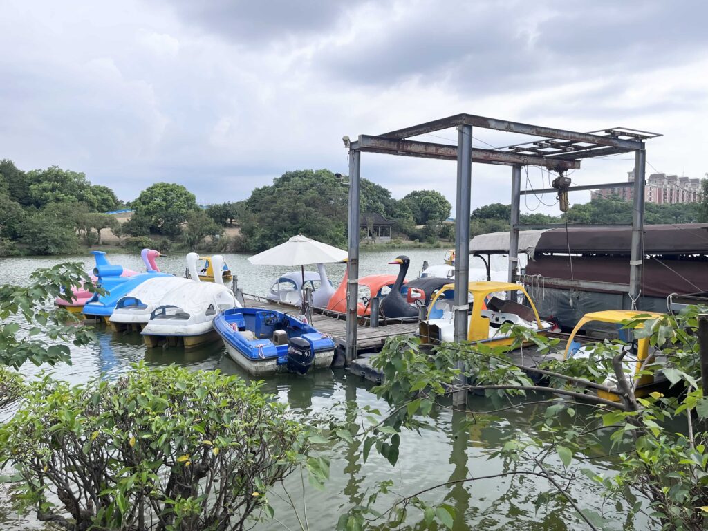 埔心牧場 純青湖划船