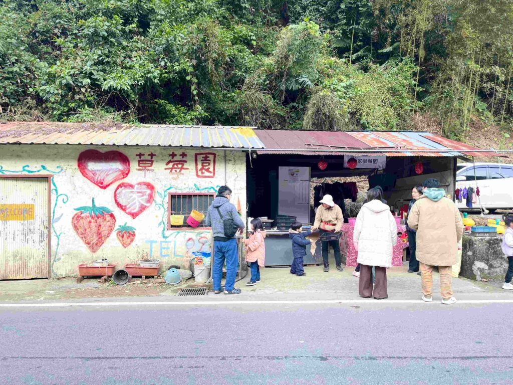 苗栗大湖 一家草莓園